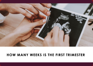 How Many Weeks is the First Trimester