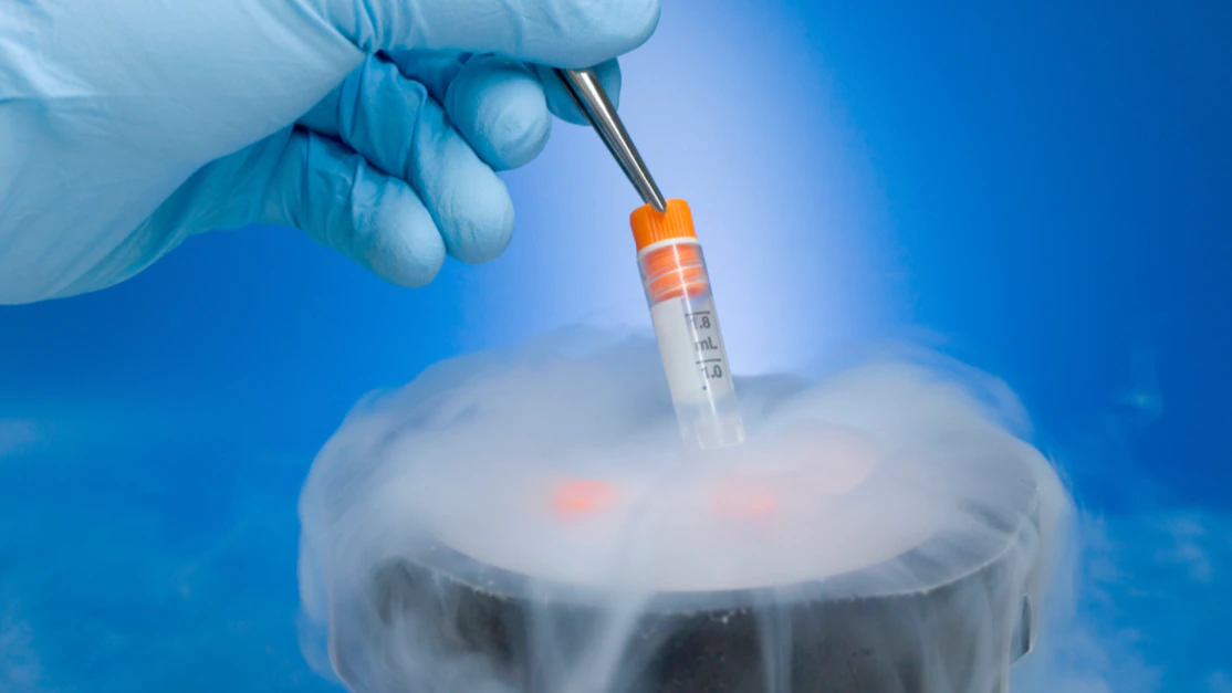 Egg Freezing Programs